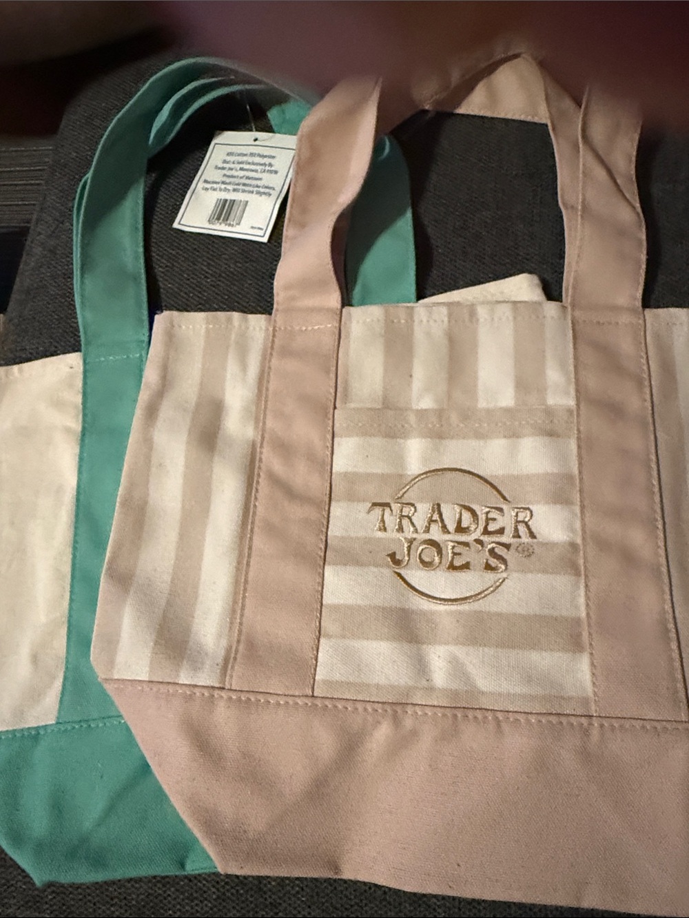 Trader Joe's mini Canvas Tote with Teal and tan.